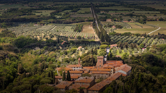 2016 Meraviglia Maestro Di Cava Bolgheri 95 points